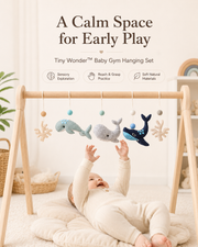 Tiny Wonder™ Baby Gym Hanging Set