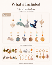 Tiny Wonder™ Baby Gym Hanging Set