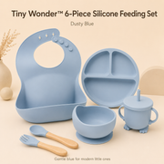 Tiny Wonder™ 6-Piece Silicone Feeding Set